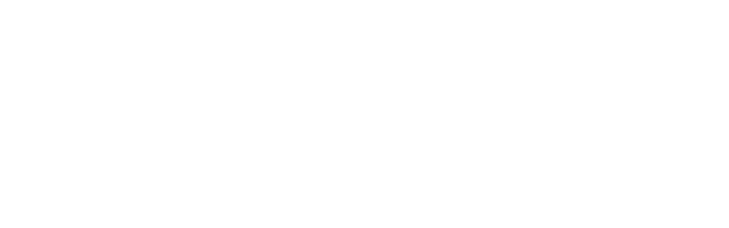 Dell logo